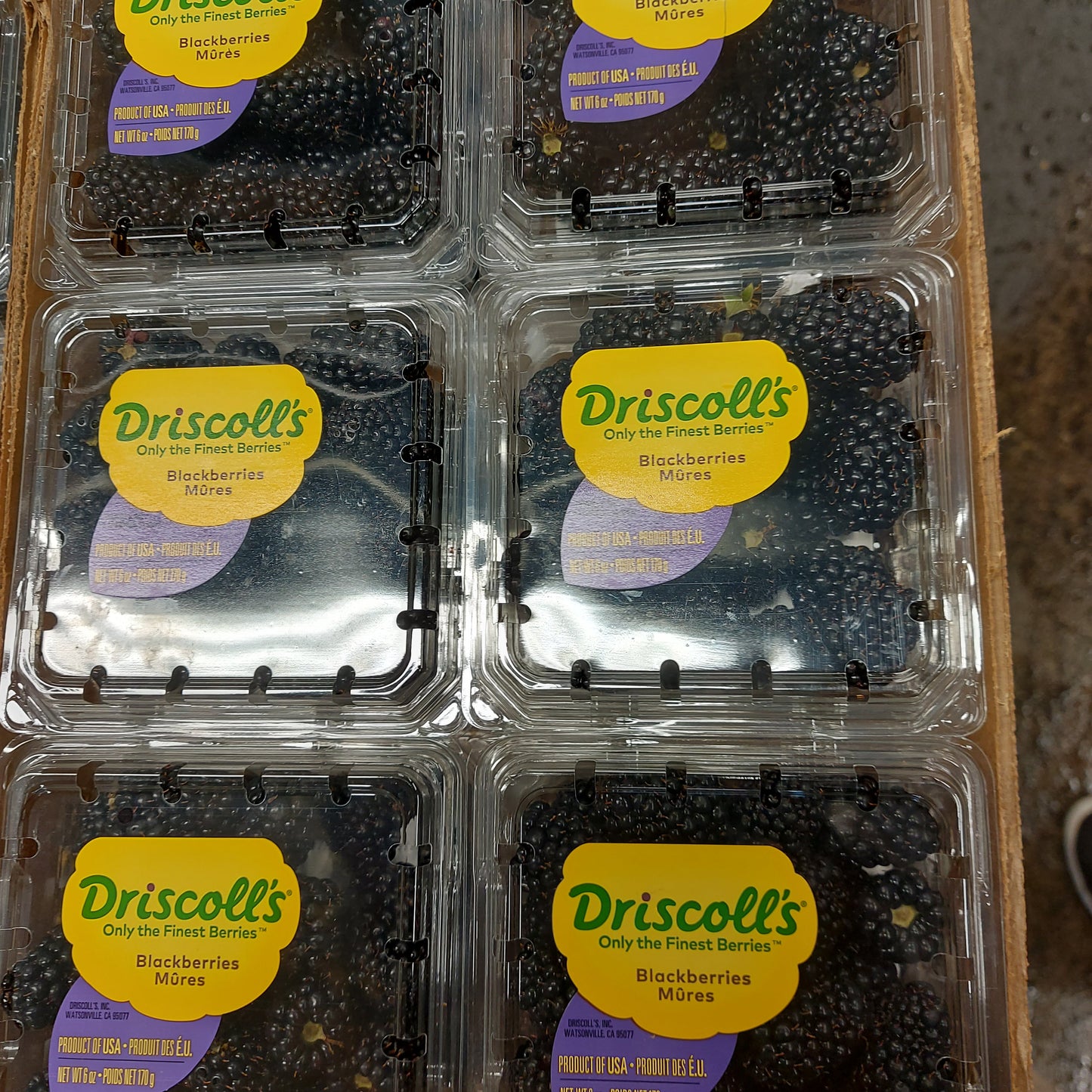 Blackberries - 12 X 170g (6oz)