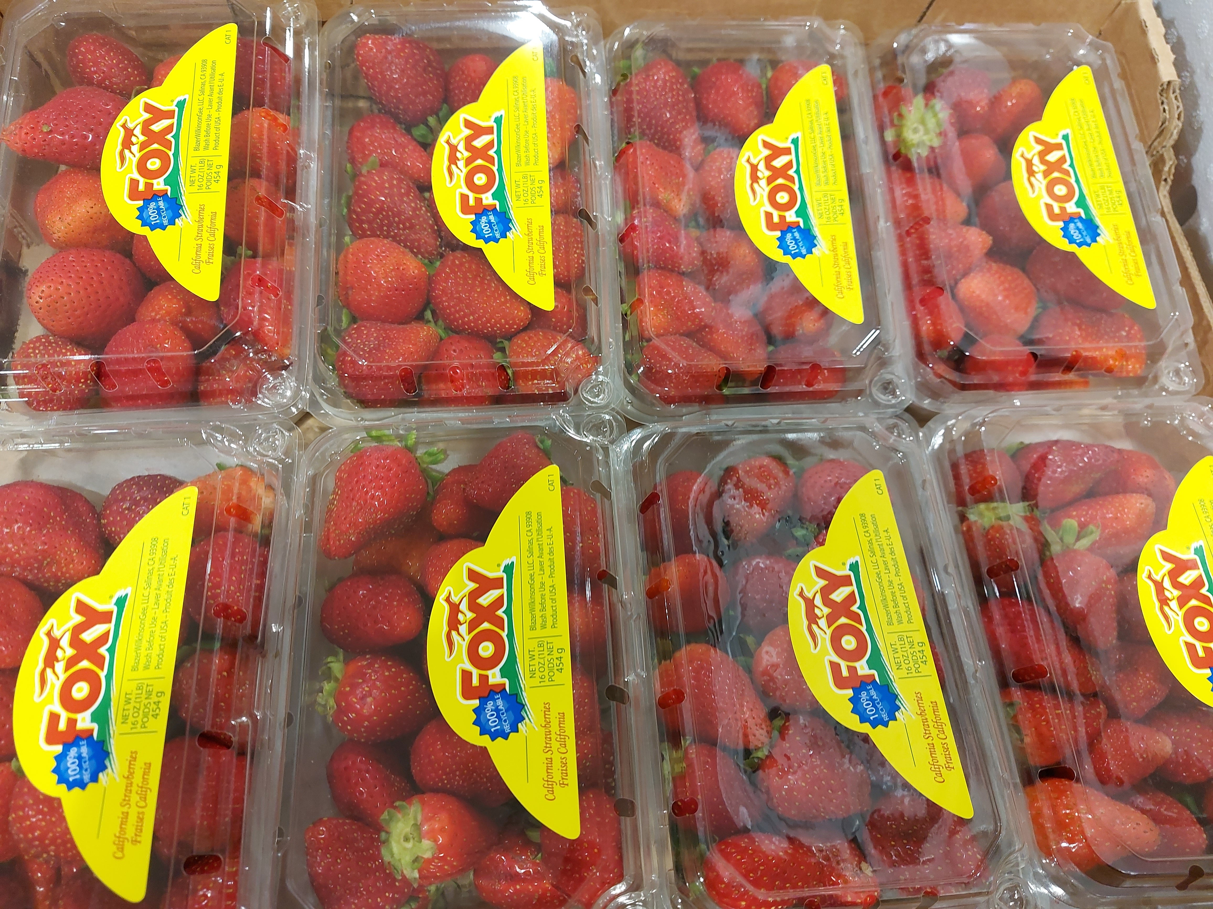 20240905_101230_fcd2772a-0c0a-